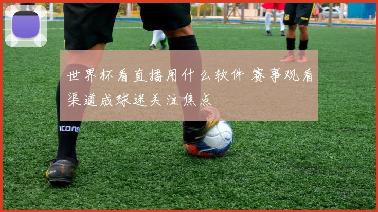 世界杯看直播用什么软件 赛事观看渠道成球迷关注焦点