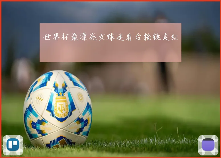 世界杯最漂亮女球迷看台抢镜走红