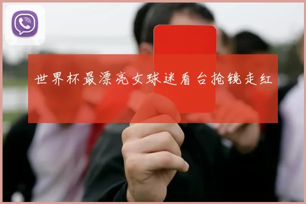 世界杯最漂亮女球迷看台抢镜走红