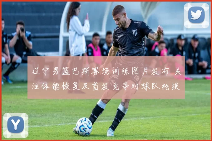 辽宁男篮巴斯赛场训练图片发布 关注体能恢复及首发竞争对球队轮换影响